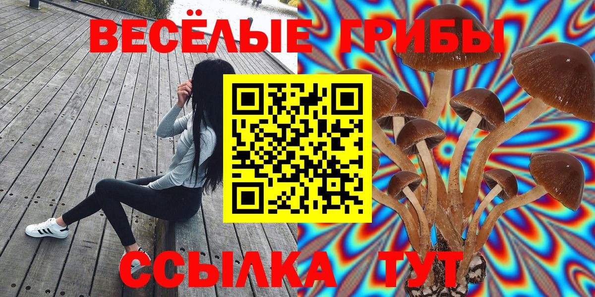 Псилоцибиновые грибы Psilocybine cubensis  Псилоцибиновые грибы мицелий  Вход с VPN  Дубна 