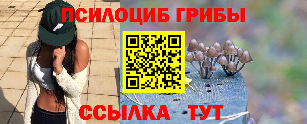Галлюциногенные грибы прущие грибы Дубна
